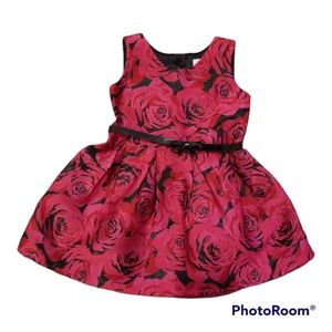 Toddler special occasion dress